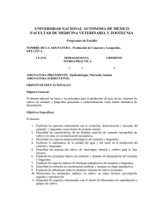 Producción de Camarón y Langostino.pdf