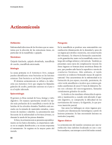 04Actinomicosis.pdf