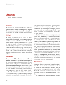 04Antrax.pdf