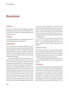 04Brucelosis.pdf