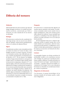 04DifteriaTernero.pdf