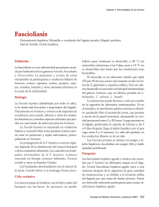 04Fasciolasis.pdf