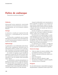 04FiebreEmbarque.pdf