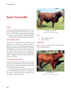 09SantaGertrudis.pdf