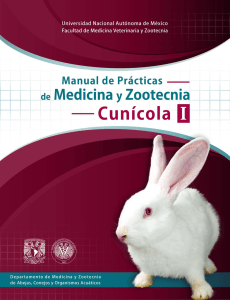 Manual de Prácticas de Medicina y Zootecnia Cunícola I