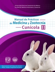 Manual de Prácticas de Medicina y Zootecnia Cunícola II