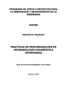 Manual de Prácticas de Temas Selectos de Profundización Disciplinaria Bacteriología Diagnóstica Veterinaria
