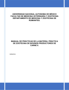 Manual de Prácticas de Zootecnia de Bovinos Productores de Carne II