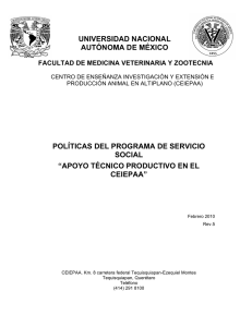 Politicas_SS_CEIEPAA.pdf