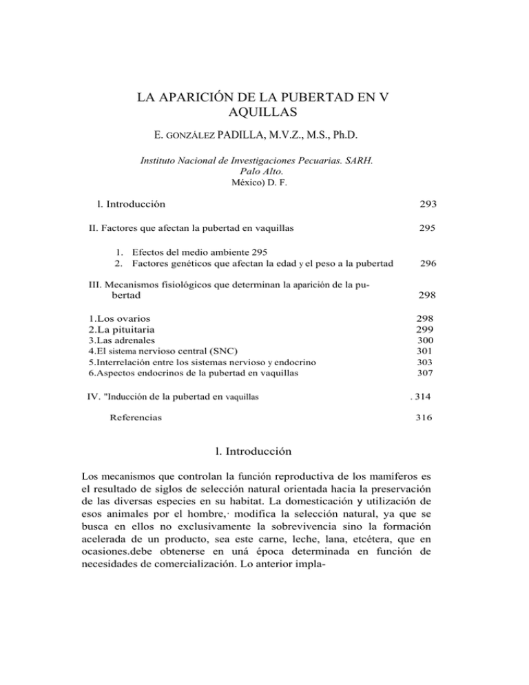 La Aparici N De La Pubertad En Vaquillas