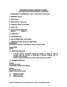 EXTERIOR_CUIDADOS_BASICOS_EN_LOS_EQUIDOS.pdf