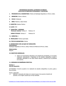 PRACTICA_DE_RADIOLOGIA_DIAGNOSTICA_EN_PERROS_GATOS.pdf