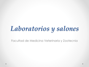 11.1_Laboratorios y salones.pdf