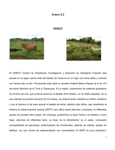 Anexo 5.2.pdf