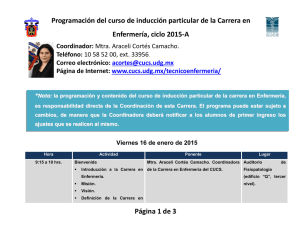 13_programa_particular_carrera_en_enfermeria_2015a.pdf