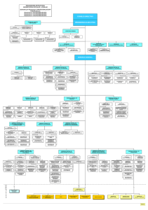 ORGANIGRAMA ESTRUCTURAL SEGURO SOCIAL DE SALUD – ESSALUD