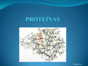 Estructura+de+Proteínas