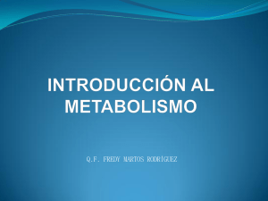 CLASE+Nº+07+Introducción+al+metabolismo
