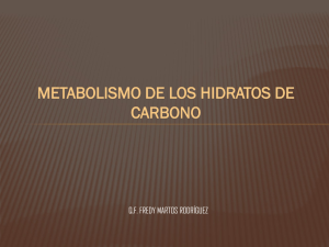 Metabolismo+de+los+Carbohidratos