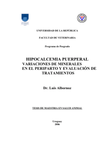 LUIS ALBORNOZ Hipocalcemia puerperal: variaciones de minerales en el periparto y evaluación de tratamientos.