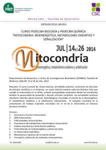 csic_Cart OFCSIC 169 2014 Curso Mitocondrias FMED.pdf