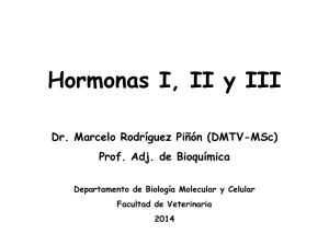 Hormonas I, II y III Dr. Marcelo Rodríguez Piñón (DMTV-MSc)