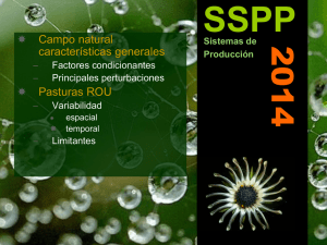 SSPP 2014  Campo natural