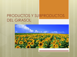 Girasol y Subproductos