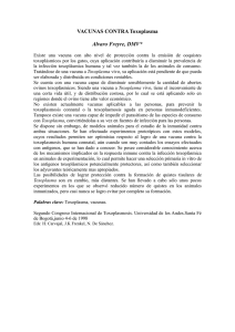 VACUNAS CONTRA Toxoplasma Alvaro Freyre, DMV*