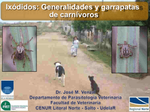 Generalidad - Ixódidos de Carnívoros - 28 de Abril 2015 Dr. J. M. Venzal