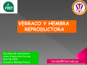 VERRACO Y HEMBRA REPRODUCTORA  Facultad de veterinaria.