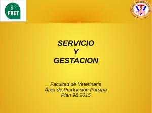SERVICIO Y GESTACION Facultad de Veterinaria