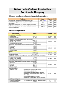 Datos de la Cadena Productiva Porcina de Uruguay