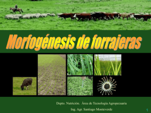 1 Depto. Nutrición.  Área de Tecnología Agropecuaria Ing. Agr. Santiago Monteverde