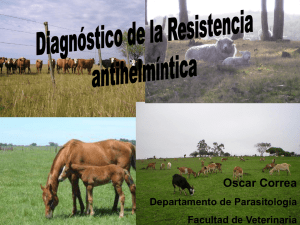 Diagnóstico de la resistencia antihelmíntica - O. Correa