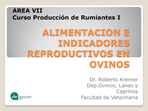 Alimentación y reproducción ovina - R. Kremer