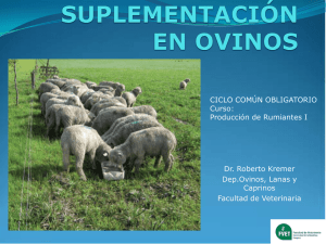 Suplementación en Ovinos - R. Kremer