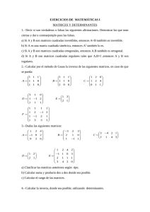 MATRICES DETERMINANTES