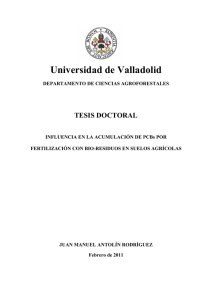 TESIS97-110331.pdf