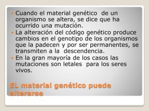 El material genético puede alterarse.