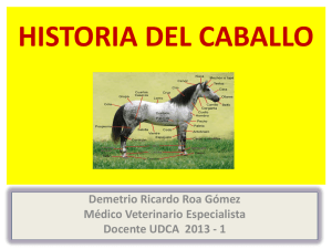 1. HISTORIA DEL CABALLO