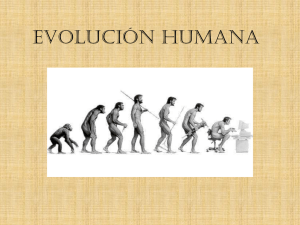2.- Evolución humana 2014