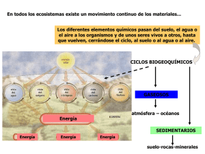 7.- Ciclos Biogeoquimicos 2013