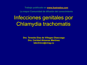Infecciones genitales por Chlamydia Trachomatis (ppt)