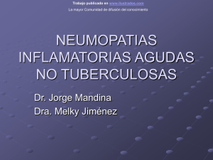 Neumopatias inflamatorias agudas no tuberculosas (ppt)