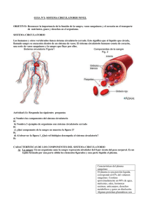 sist. circulatorio