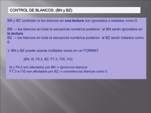 CONTROL DE BLANCOS: (BN y BZ)