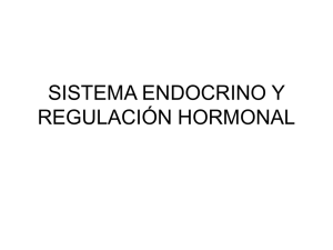 sistema-endocrino-y-regulacion-hormonal_numero_2.ppt