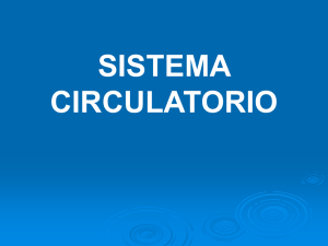 Sistema_circulatorio.ppt