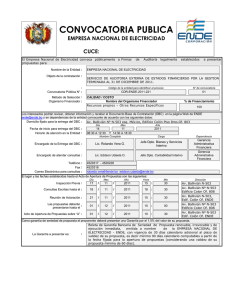 CONVOCATORIA PUBLICA EMPRESA NACIONAL DE ELECTRICIDAD  CUCE: